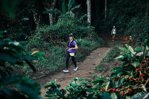 BIB: 
                            <button type="button" onclick="openModal(25783153)" class="btn btn-primary btn-sm float-right btn-popup" data-toggle="modal" data-target=".modal-high-quality">
                        <i class="fas fa-shopping-cart"></i> Add to Cart
                    </button>
                                            <button type="button" onclick="isThisMe(25783153, true)" class="btn btn-success btn-sm float-right btn-popup btn-isme hidden" data-toggle="tooltip" data-placement="bottom" title="นี่คือรูปของคุณใช่ไหม คลิกที่นี่เพื่อเอาเข้าอัลบั้ม">
                        <i class="fas fa-plus"></i> Add to album
                    </button>
                    <button type="button" onclick="isThisMe(25783153, false)" class="btn btn-warning btn-sm float-right btn-popup btn-isnotme hidden">
                        <i class="fas fa-ban"></i> Remove from album
                    </button>